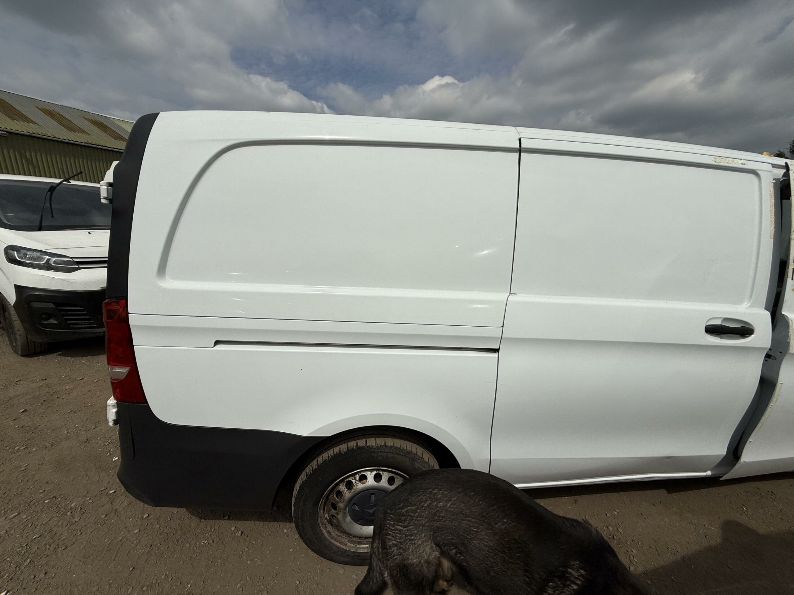 2021 Mercedes-Benz Vito Vito 110 Progressive CDI – NK71YLH