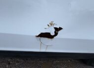 2016 Vauxhall Vivaro – Model: Vivaro  2700 CDTI – DN66LHA