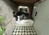 2002 Renault Master – Model: Master 120.35 dCi LWB – JS51OLS